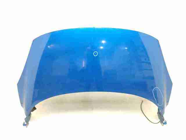 651008842R RENAULT Capó comprar Bilbao