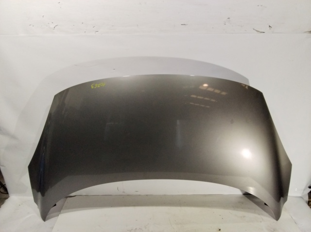 Capot Renault Scenic III monovolumen comprar en España