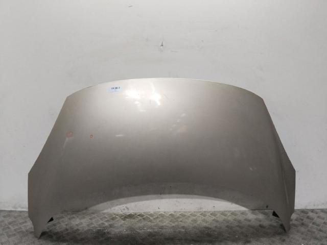 Capó del motor Renault Scenic III desde 184,40 €