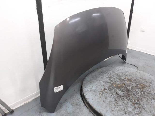 651008842R RENAULT Capó  disponible Vigo