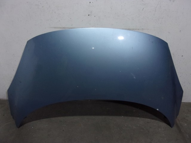 651008842R RENAULT Capó comprar Bilbao