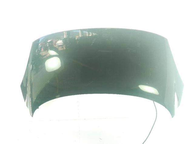 RENAULT 651008842R Capó  en stock Salamanca