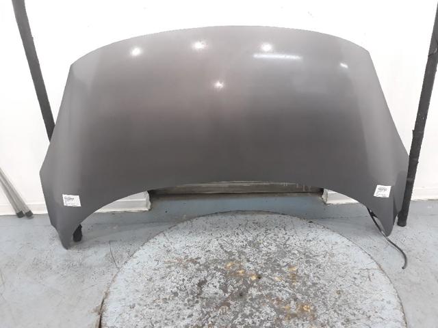 RENAULT 651008842R Capó comprar Barcelona