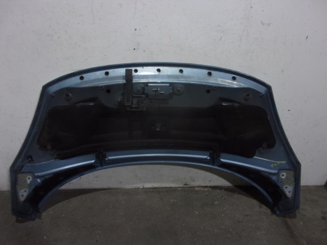 RENAULT 651008842R Capó  comprar en Albacete