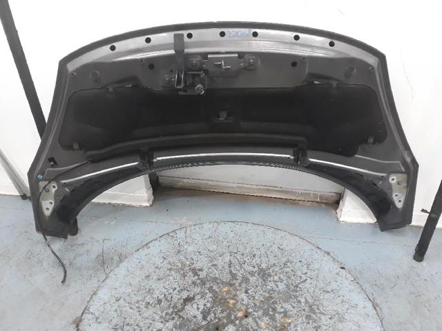 651008842R RENAULT Capó  en stock Córdoba