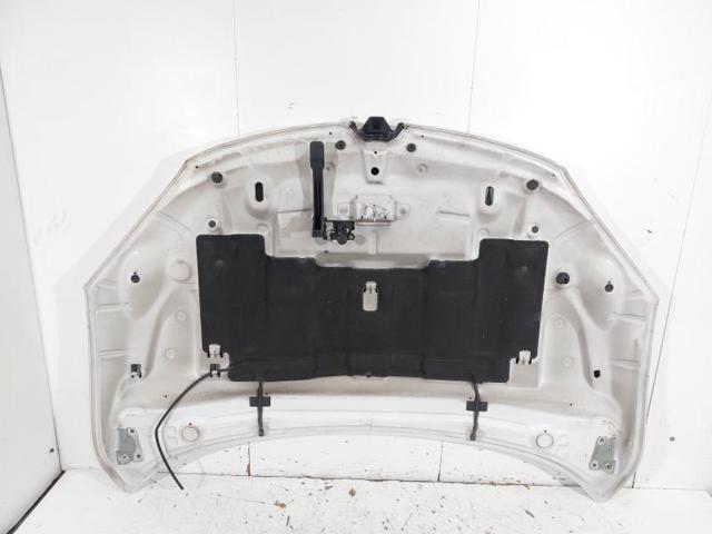 RENAULT 651009018R Capó  disponible Lugo