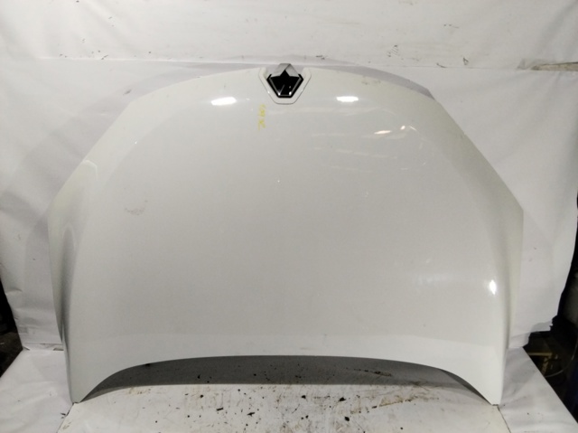 651009018R Renault (RVI)