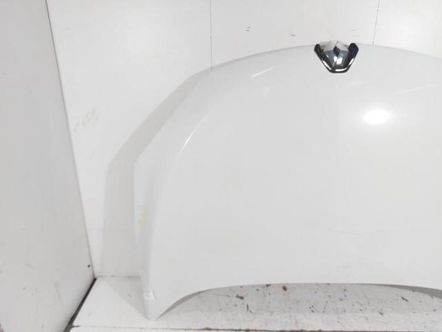 RENAULT 651009018R Capó comprar Barcelona