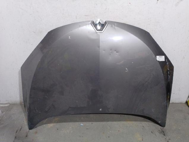 651009018R RENAULT Capó comprar Madrid