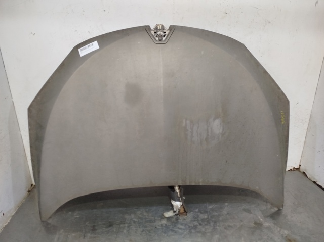RENAULT 651009018R Capó  en stock Terrassa