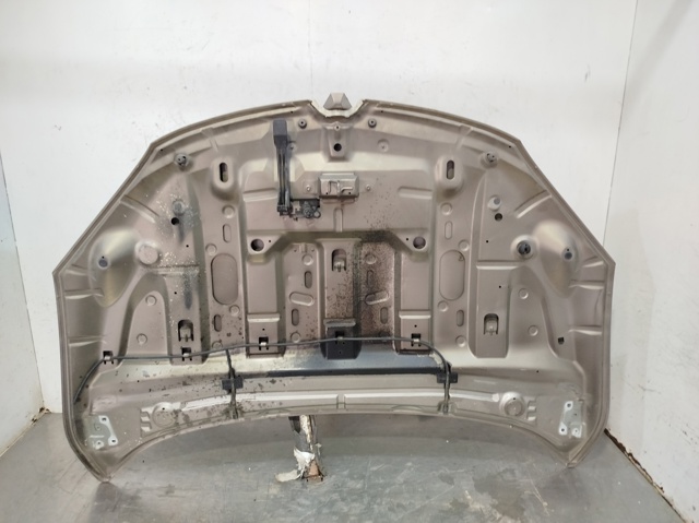 651009018R RENAULT Capó  comprar en Jaén