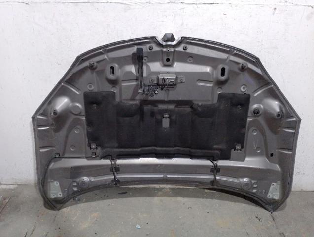 651009018R RENAULT Capó  en stock Huelva