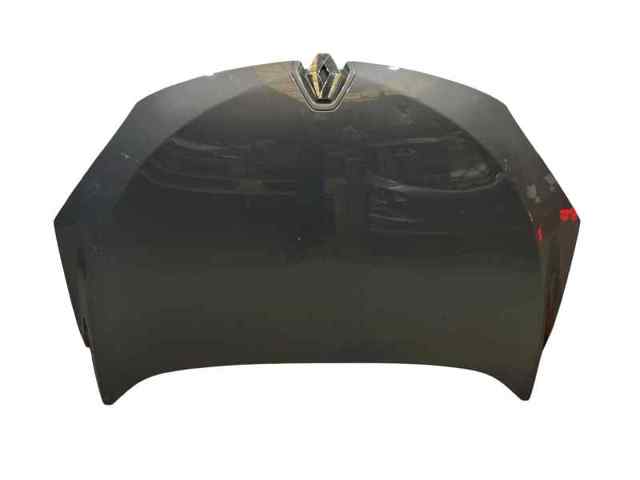 651009018R Renault (RVI)