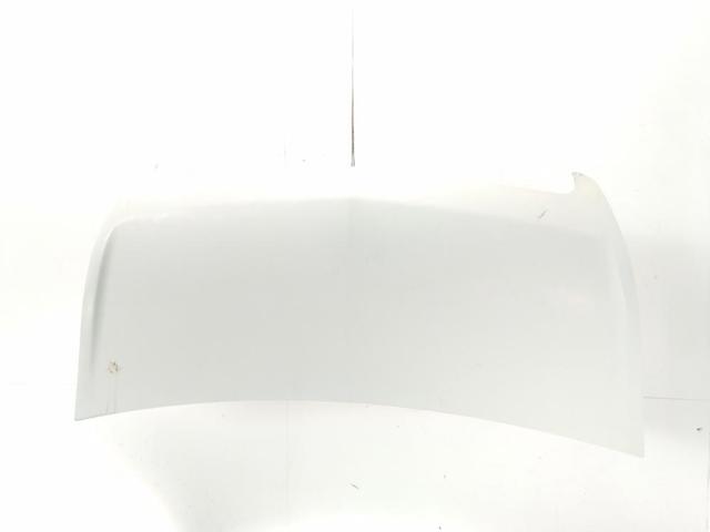 Capot 651009963R RENAULT