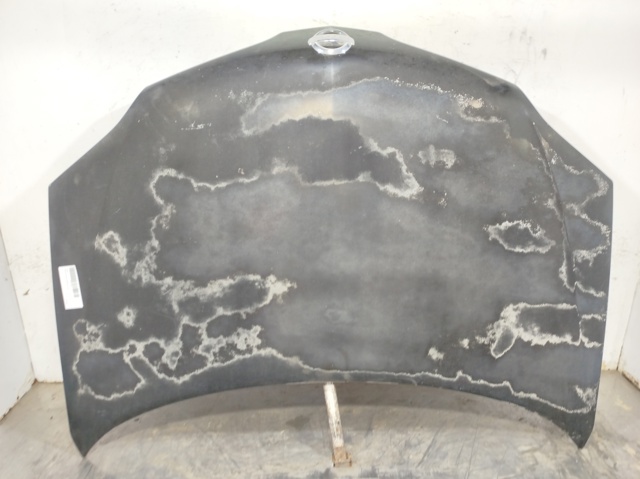 Capó del motor Nissan Primera  desde 198,92 €