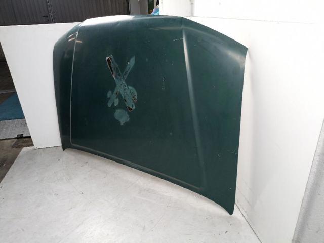 Capó del motor Nissan Navara D40