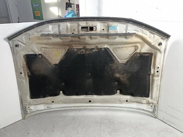 Capó del motor Nissan Navara D40