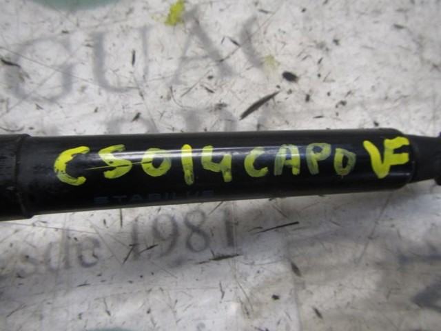 654700008R RENAULT Amortiguador de capó  en stock Huelva