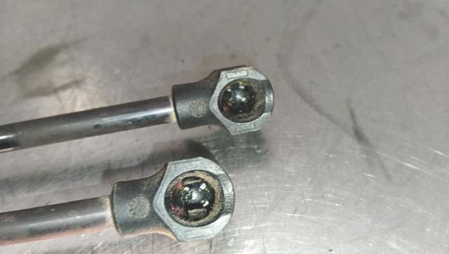 RENAULT 654700462R Amortiguador de capó comprar Barcelona