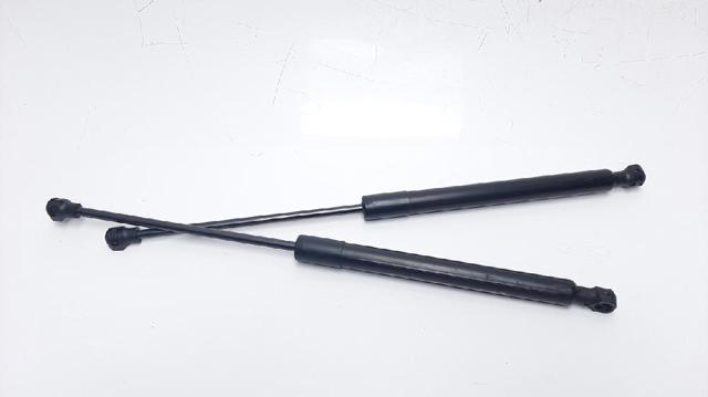 654700462R Renault (RVI)