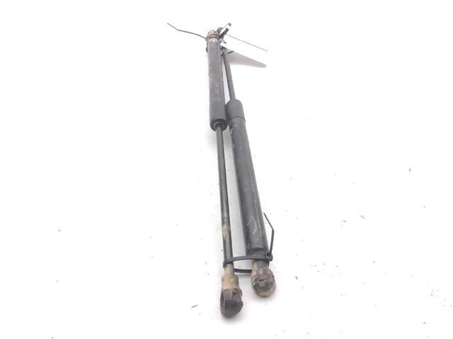 654700462R RENAULT Amortiguador de capó comprar Alcalá