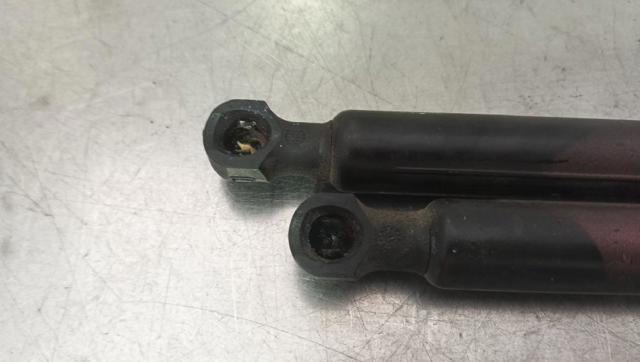 654700462R RENAULT Amortiguador de capó  en stock Córdoba