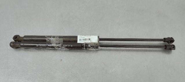 654700462R Amortiguador de capó  disponible Málaga
