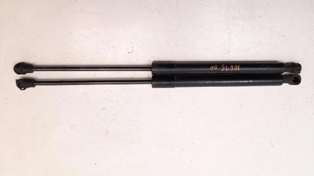 654700462R Renault (RVI)