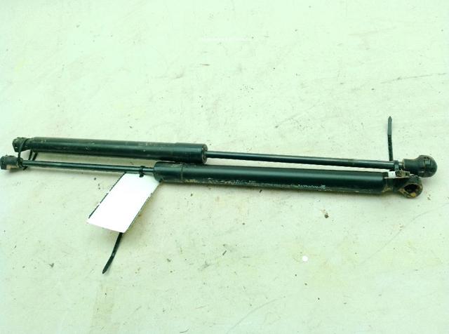 654700462R RENAULT Amortiguador de capó  disponible Ourense