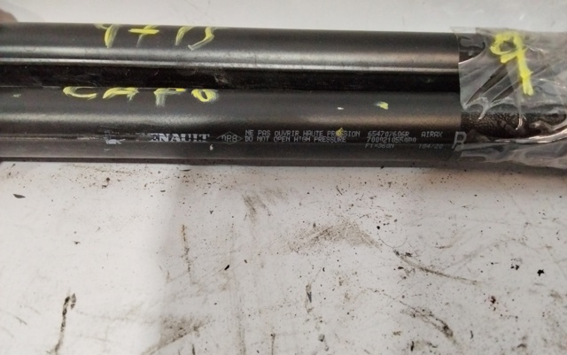654700462R Renault (RVI)