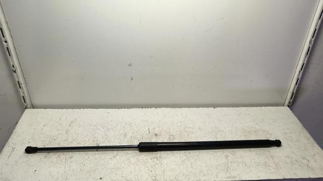654702645R Renault (RVI)