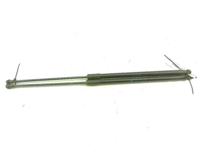 654702645R RENAULT Amortiguador de capó comprar Bilbao