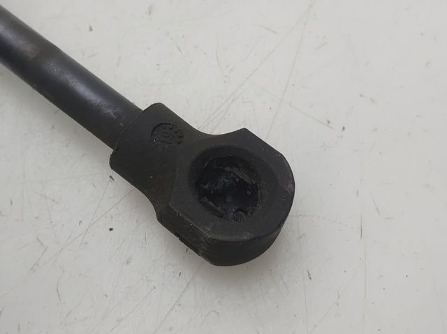 654704175R RENAULT Amortiguador de capó  comprar en Jaén
