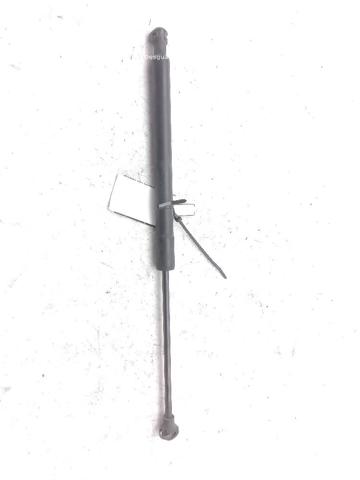 654704175R RENAULT Amortiguador de capó  en stock Córdoba