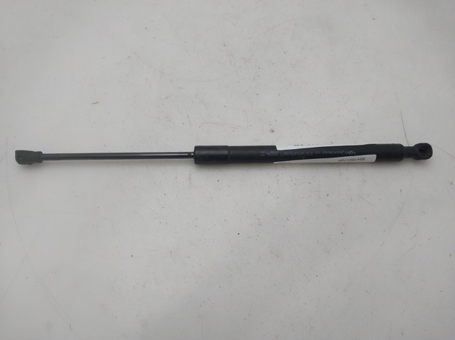654704175R Amortiguador de capó  disponible Málaga