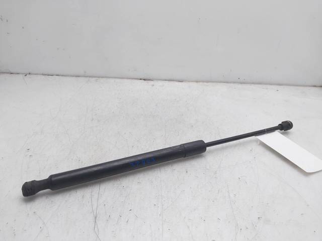 654704175R Amortiguador de capó  disponible Burgos