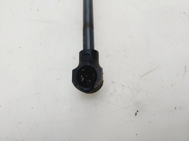 654704175R Amortiguador de capó  disponible Burgos