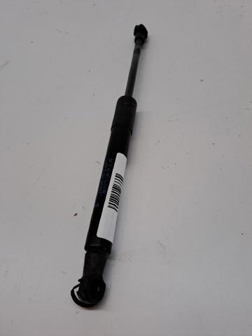 654704597R Renault (RVI)