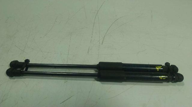 654705053R Amortiguador de capó comprar Sevilla