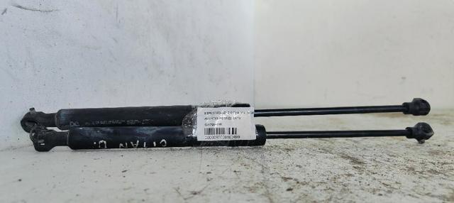 654706489R Amortiguador de capó  disponible Málaga