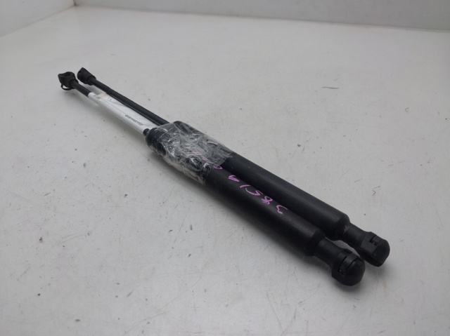 Muelle neumático, capó de motor Renault Kangoo 2 FW0