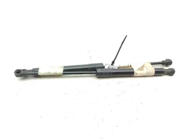 654706489R RENAULT Amortiguador de capó  comprar en Oviedo