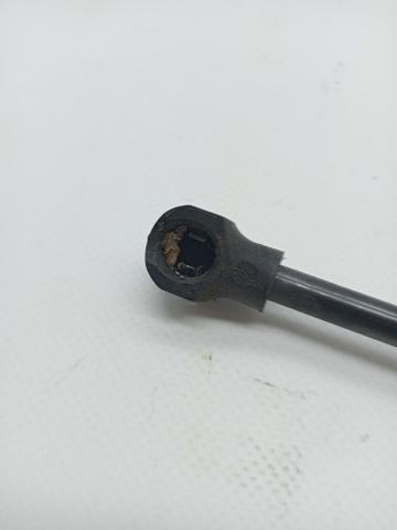 654706489R RENAULT Amortiguador de capó  comprar en Jaén