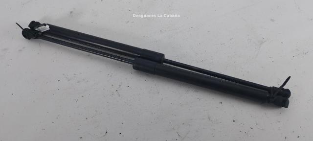 RENAULT 654707606R Amortiguador de capó  disponible Valladolid