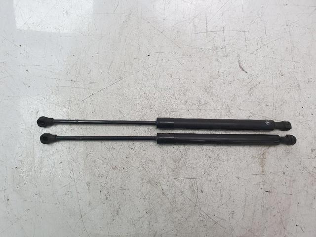 RENAULT 654707606R Amortiguador de capó  disponible España