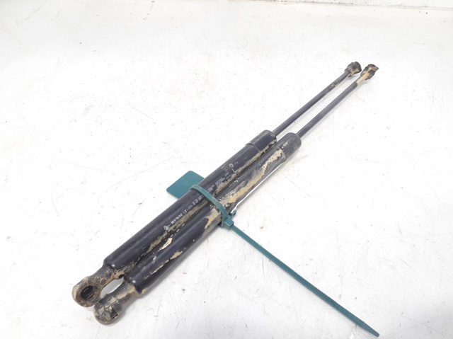 Muelle neumático, tapa delantera Renault Megane IV desde 29,15 €