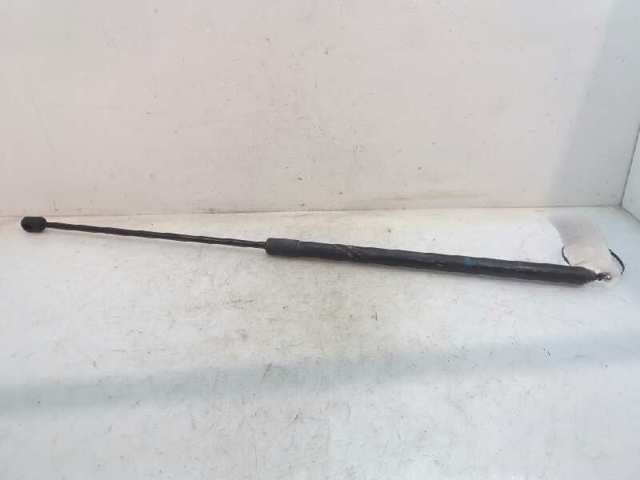 654710003R Renault (RVI)