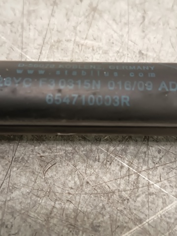 654710003R Renault (RVI)