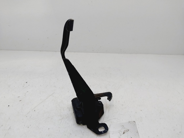 656010007R Renault (RVI)