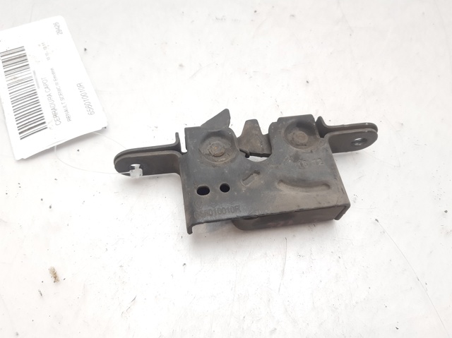 656010010R Renault (RVI)